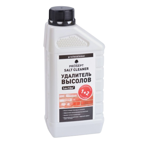 Salt cleaner Удалитель высолов с минеральных поверхностей Prosept 1л